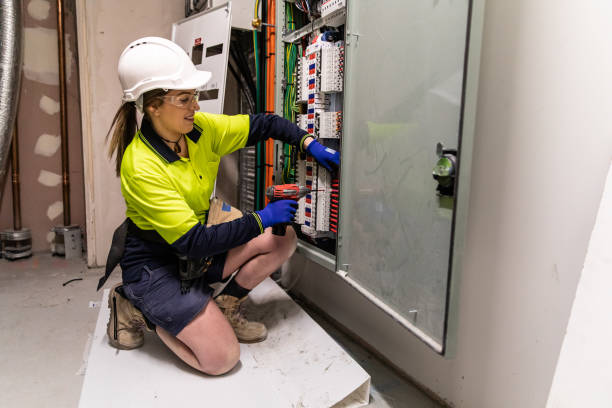 Best Electric Panel Repair  in Quincy, MI