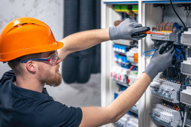 Best Electric Panel Repair  in Quincy, MI